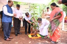 Vanamahotsav celebratIons at Raj bhavan