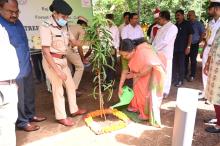 Vanamahotsav celebratIons at Raj bhavan