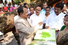 HON'BLE GOVERNOR VISITED SHREE RASHTOLI BRAHMAN DEVASTHAN FOR DARSHAN OF 400 YRS OLD ANCIENT TREE AT PIRNA.