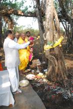 HON'BLE GOVERNOR VISITED JEEVOTTAM MATH AND PERFORMED POOJA OF ANCIENT TREE AND UNDERSTAND THE HISTORY AND OTHER DETAILS OF THE TREE.