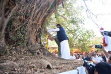 HON'BLE GOVERNOR VISITED PEEPAL TREE NEAR BHUMIKA TEMPLE AT PARYE.