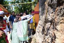 HON'BLE GOVERNOR VISITED KOLGIRO AND MUDALGIRO TO SEE JAMUN AND ALSTONIA SCHOLARIS TREES AT THANE DONGURLI.