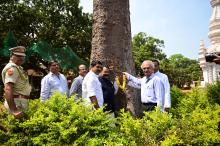 HON'BLE GOVERNOR VISITED MADDI(STERCULIA FOETIDA) TREE NEAR HOLY SPIRIT CHURCH AND UNDERSTANDING THE HISTORY AND OTHER DETAILS OF THE TREE.