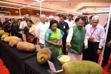 Raj Bhavan Goa organised Jackfruit Festival at New Durbar Hall graced by the presence of three Governors, Hon’ble Governor of Telangana Dr. Tamilisai Soundararajan, Hon’ble Governor of Bihar Shri Rajendra Arlekar and Hon’ble Governor of Goa.