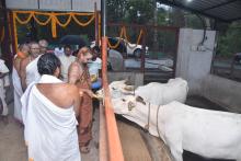 Hon'ble Governor Attended function of Honouring of Jagadguru Sri Sri Sri Bharathi Tirtha Mahaswamiji from Sri Sri Sri Jagadguru Shankaracharya Mahasamsthanam Dakshinamnaya Sri Sharad Peetham, Srigeri at New Darbar Hall, Raj Bhavan.  