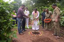 Hon'ble Governor attended Tree Plantation at Raj Bhavan Campus.